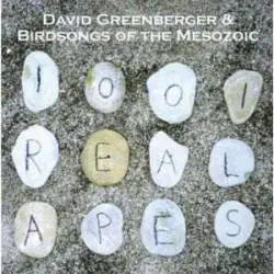 Birdsongs Of The Mesozoic : 1001 Real Apes (with David Greenberger)